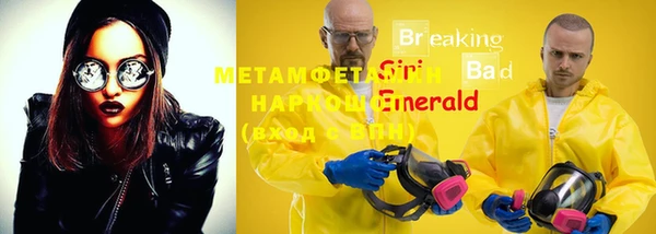 сатива Верея