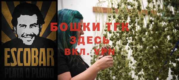 ешки Бородино