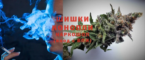 ешки Бородино