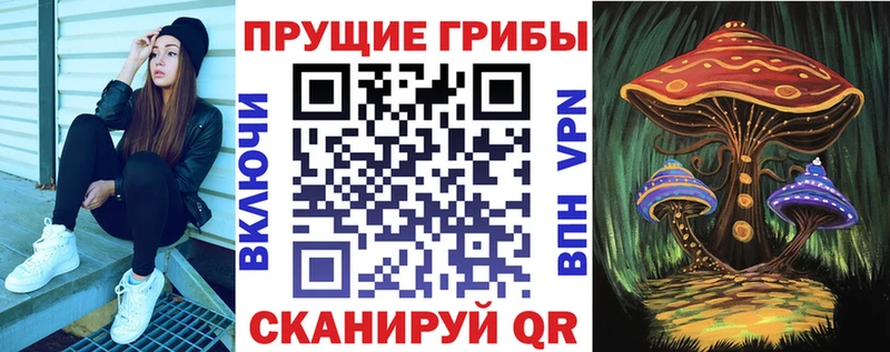 Псилоцибиновые грибы прущие грибы Мариинский Посад